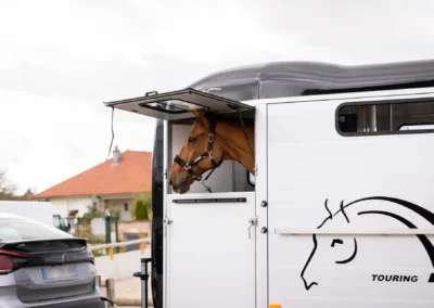 Touring_Country_Cheval_Fenetre